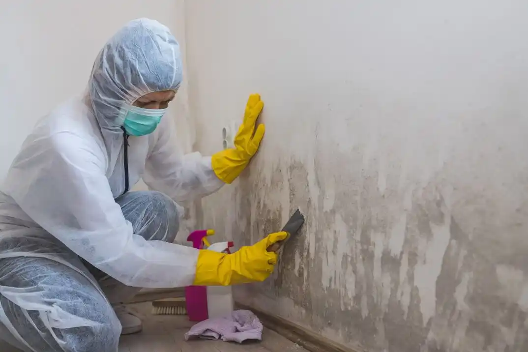 water damage restoration service Lamberts Point